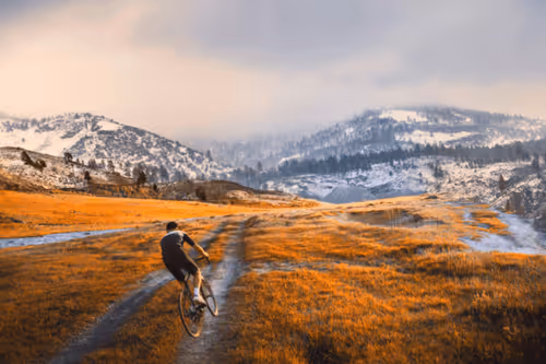 Item #51810254066928712772374707927972261806031871022622644550646108307045436358676 Media