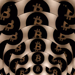 27757516014762062497309034600511260599553362447648551893153608355990556639233