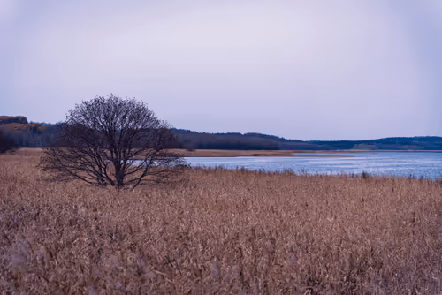 Item #87176501403928380168498398811960935080748737073158175460079780476942240710657 Media