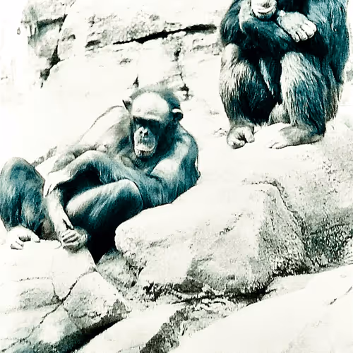 Item #105394010161551018097936078642910549059002323015222353178191528879306620010497 Media