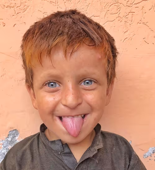 Item #80261072711668544625956097503537230290104214068874563233857599400820627996682 Media