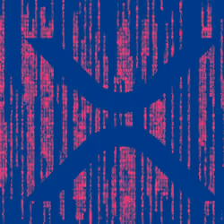 Salmon XRP Matrix