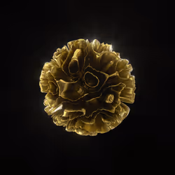 83535453821146316306178013320250520096293247508023240542449519251982450163713