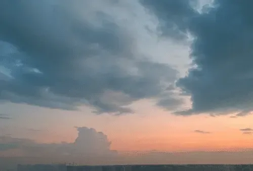 Item #54545336870129037164307986437789858251348704753246412266065009442661179850753 Media