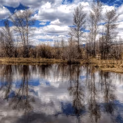 44709480693160417701152031466761867258351074556435739886014108952047617310721