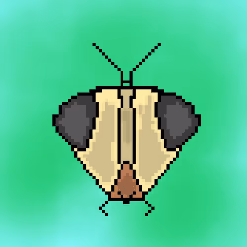 Item #14136992153433626768693748605344245508305382056447587313652271422215863402497 Media