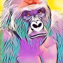 Harambe 03