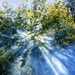 1/1 see the light