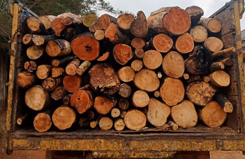 Item #102006201378976520734460731776155729887307616800660626474018585905686919512065 Media