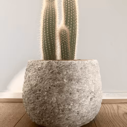 Untitled Collection #189178840