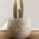 Untitled Collection #189178840