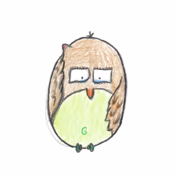 Bump Owl