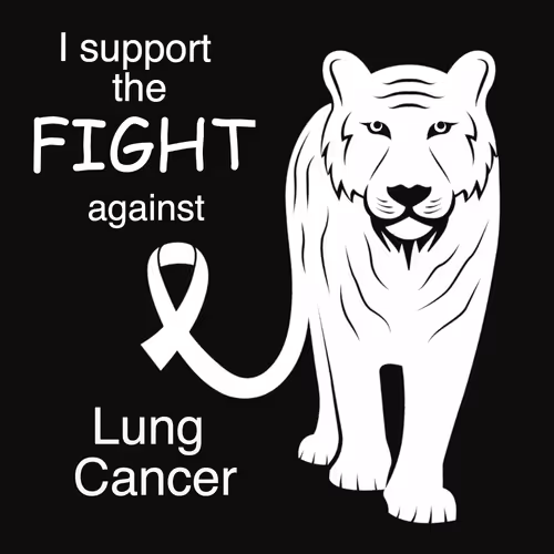 Item #69305815522282948401905192027926974897428998170457785932956285326072274323104 Media