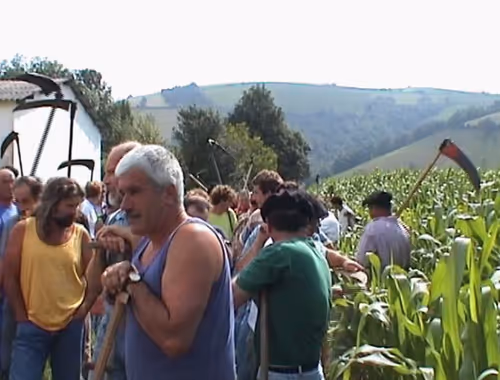 Item #61601413983432262200822046408210296549184035160504594584973518401842245010408 Media