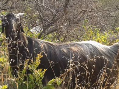 Item #68670355271276501247997473606349688435617692344010401022345500981933471956993 Media