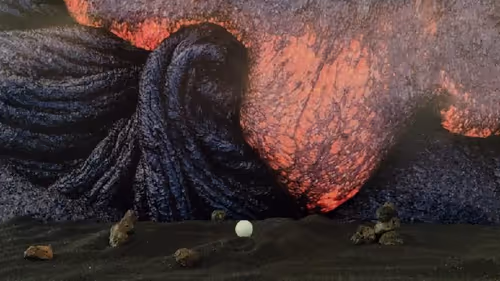 Item #32382354995311206636930955851818118108425029471473268411146207511805173956708 Media