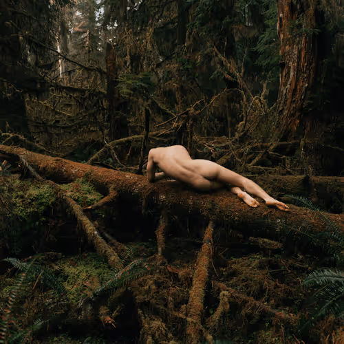 Item #78290495778488024413402900412975028234166831643233263215137554379162104365057 Media