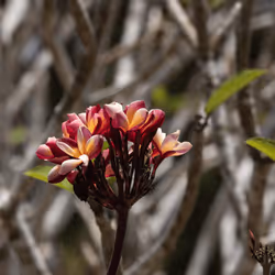 105679162715773690367894814568251153202929894369313826483118647810305648754689