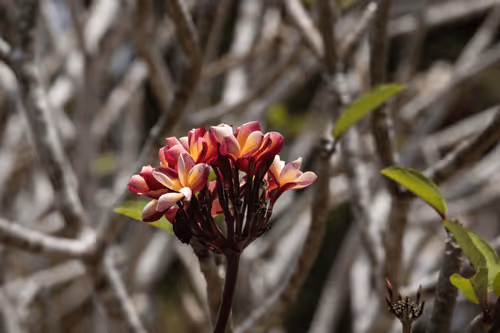 Item #105679162715773690367894814568251153202929894369313826483118647810305648754689 Media