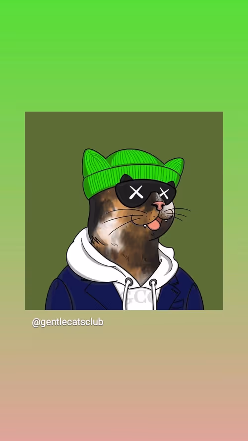 Item #26846471529023140953582941616859278592706586519084846840168065600874061234177 Media