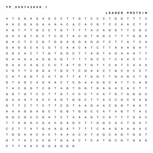 Item #65380618963620114885281271461439322618207565584775953371672302098809555517441 Media