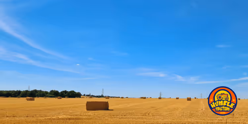 Item #35863194083128256797647772425284652682645032595179500226087347095532130533377 Media