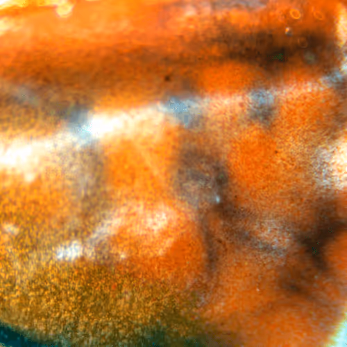 Item #8251270981130702250905355697814279819197198943221984468281114988770297380865 Media