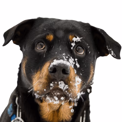 20263366600750275083551787550457323161745504762773807667868667814018807759848