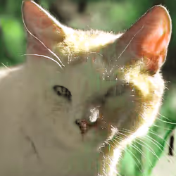 106393158711752592444527764053332067386103257112262188176365276925213104144385