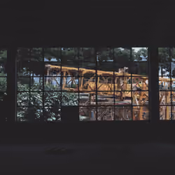 Broken Place 