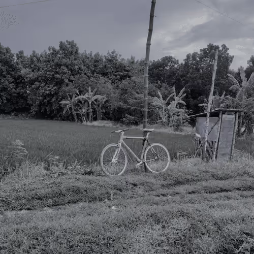 68559569431204229879954683304597208139439570669218228257319616610105374539777