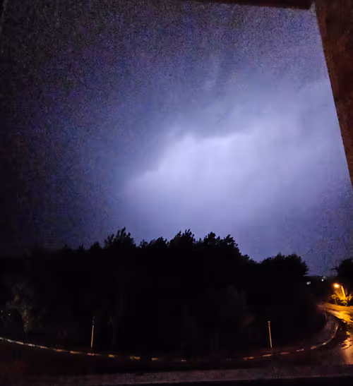 Item #35919042871244573338341443481004100687759546916264477406015230775004703490049 Media