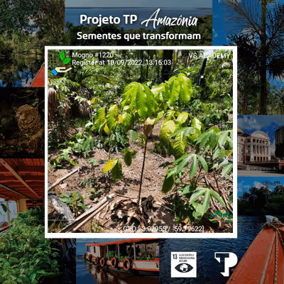 Item #8500196597889277390194123329501889087166328879864934763448348943563081383937 Media