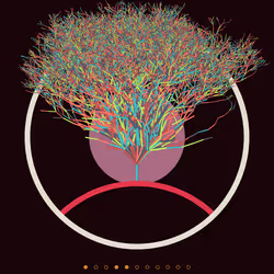 74168867016011539093366687608765447348507224284888477074887989783648364658689