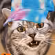 61417937524952253131724655548098570471272059805179970145865942221545050996737
