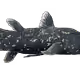 102102863880475770457698224989988084767241854502125357247999464305754554499077