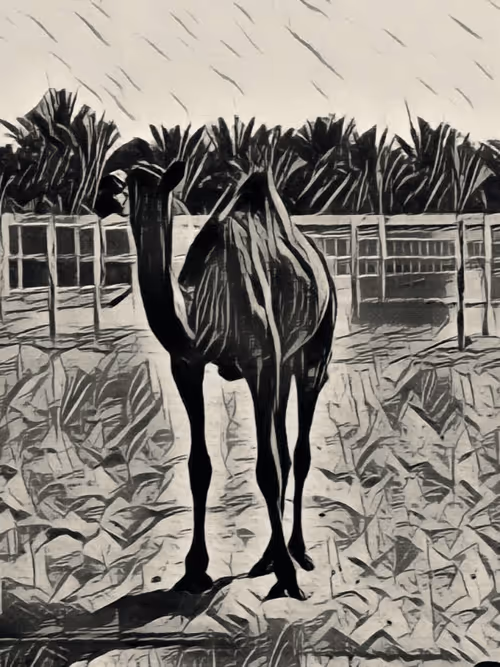 Item #36782780807699903135038144501557320909410292895804866127374726094110075125761 Media