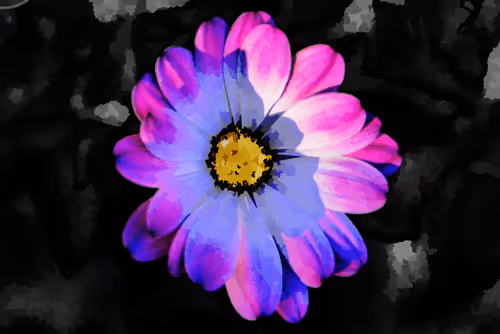 Item #97472780855113725442361506406406632137290984226550429674679319546241795227649 Media