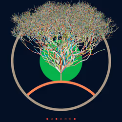 74168867016011539093366687608765447348507224284888477074887988531304620621825