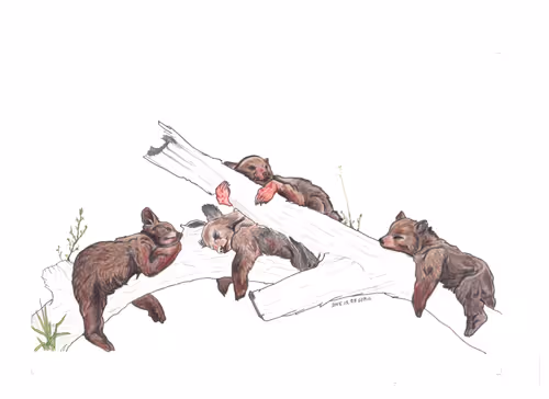 Untitled Collection #88851927