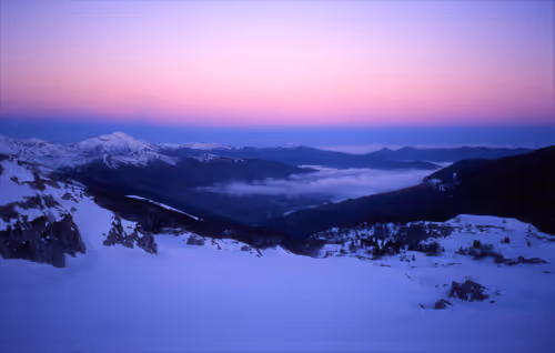 Item #61601413983432262200822046408210296549184035160504594584973518298488151998465 Media