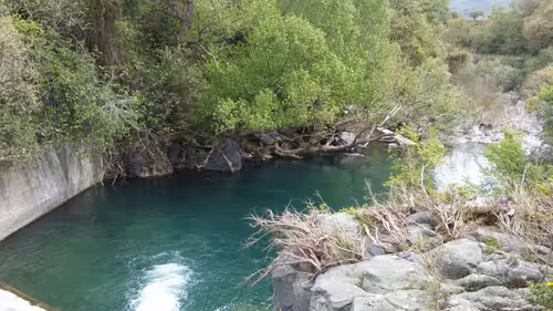 Item #56287055780979128950245095664156082691230445151418642547794192067303162511361 Media