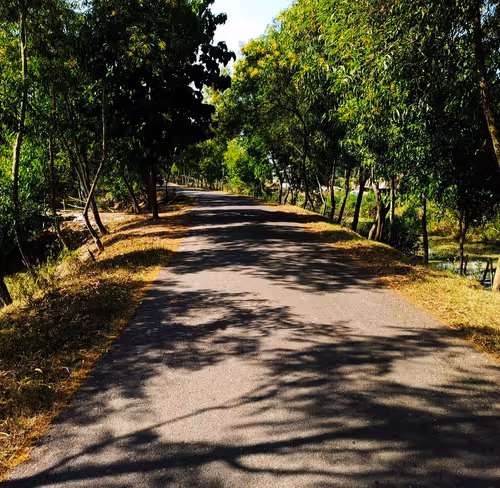 Item #87127622144776668010211497399032610088165746292807650017702048347966102568961 Media