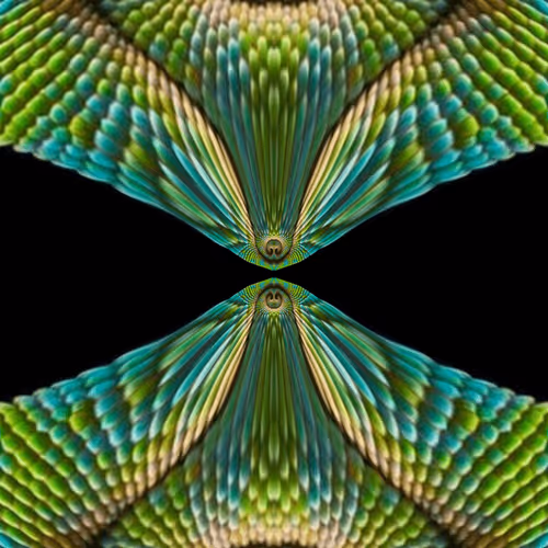 Item #47993365230904546224908061961898398429308184507692648287352000284936068136961 Media