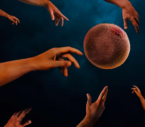 Item #48214008460807740689705390098693441553265650279224063119379866485013142831105 Media