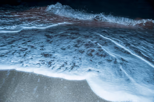 Item #65334289746679534718729475887804441956060191570096093289886828090479563767809 Media