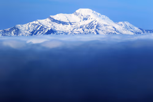 Item #61601413983432262200822046408210296549184035160504594584973518309483268276234 Media