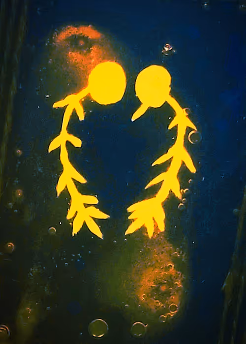 Item #47691520057124139369559430433396763403840076751552827268238278894080237764611 Media