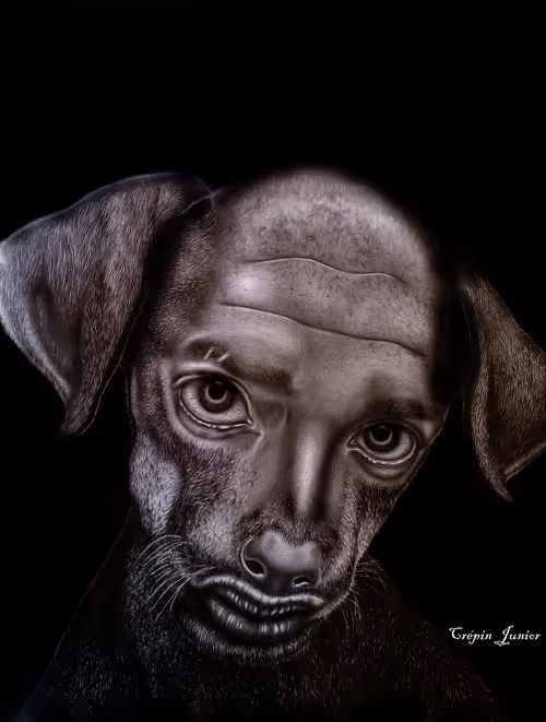 Item #97811031330721825105647552505542420048823934703300200360605343292771440525313 Media