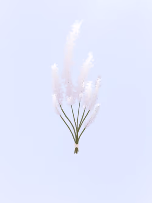 Item #14993265149039980897542067142831098559196492205517611617835635686403181903873 Media